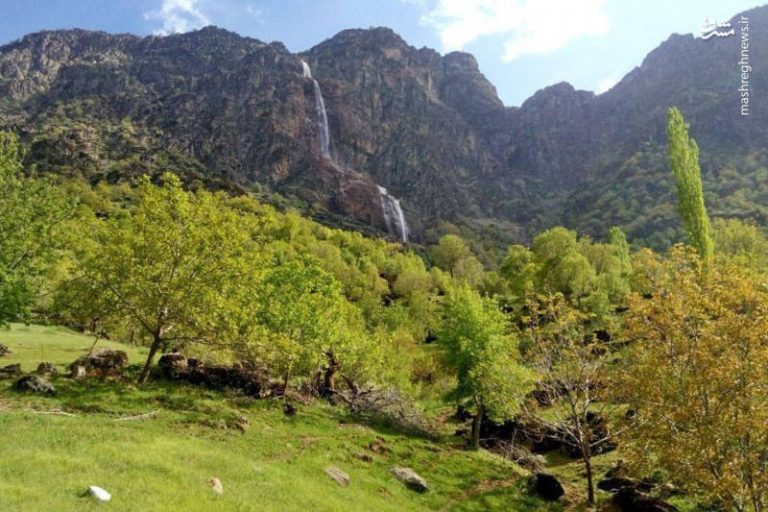 دو توله پلنگ در کنار مادرشان در جنگلهای مازندران +فیلم