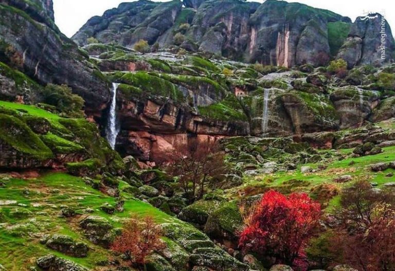 عکس/ طبیعت بینظیر مخمل کوه