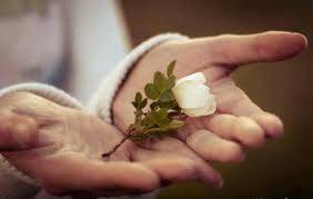 کار خوب به این میگن +فیلم