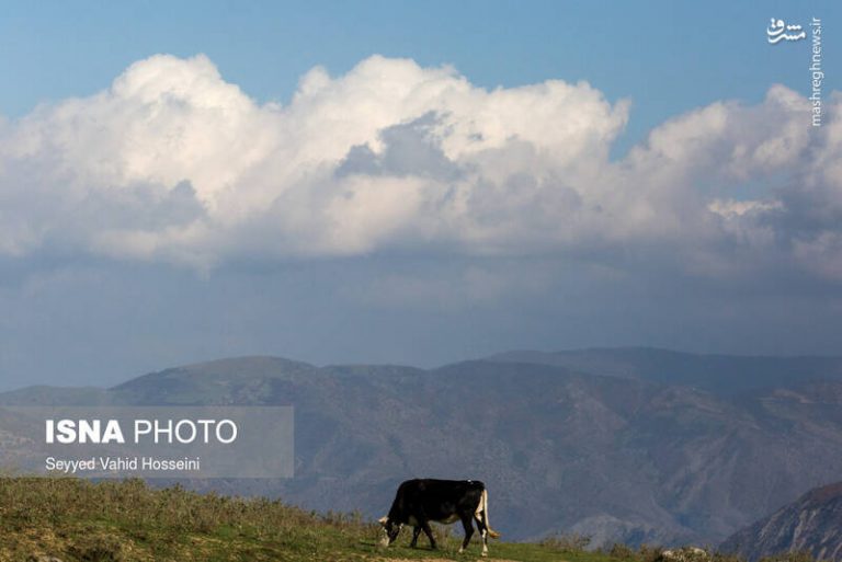 عکس/ طبیعت بکر روستای «ارفعده»