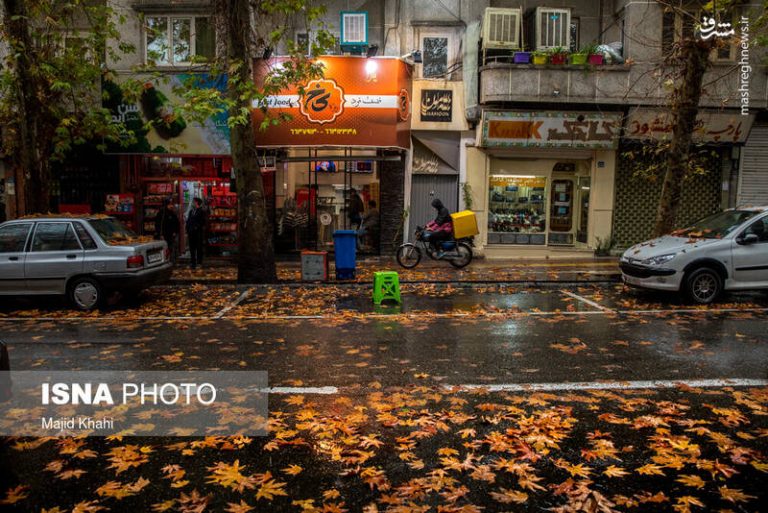 عکس/ برگریزان پاییز در خیابانهای تهران