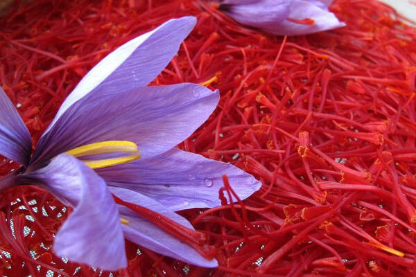 بورس کالا میزبان عرضه ۴۵۰ کیلوگرم زعفران