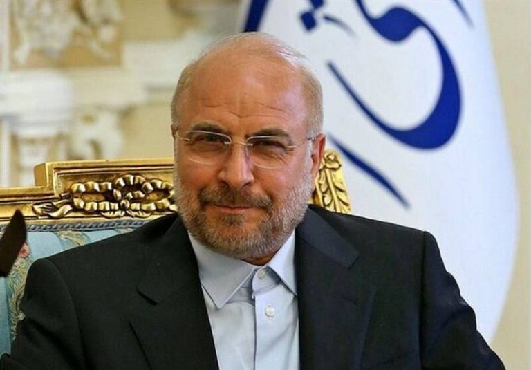 قالیباف: مجلس دولت را وادار به کار کرده است