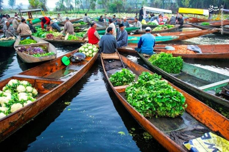 عکس/ مغازههایی شناور بر روی قایق
