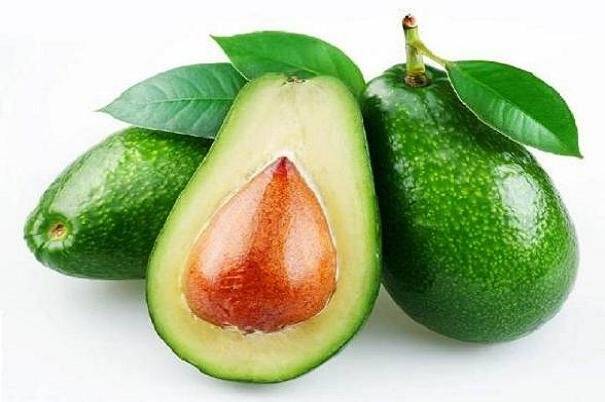 ارتباط میان مصرف روزانه «آووکادو» و سلامت روده