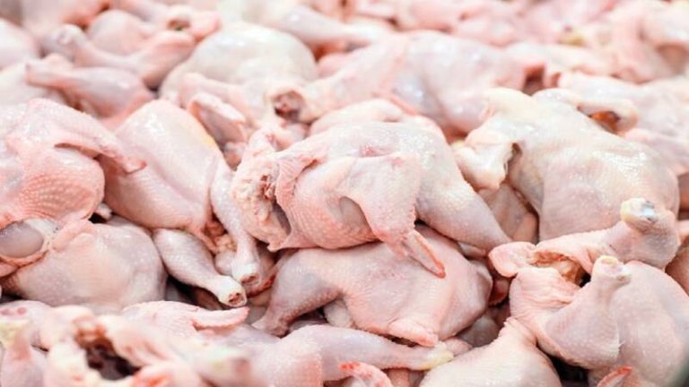 قیمت مرغ به کانال ۲۵ هزار تومان رسید