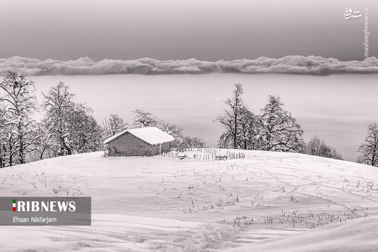 عکس/ طبیعت زیبای زمستانی جنگلهای تنکابن
