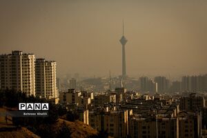 شهرداری