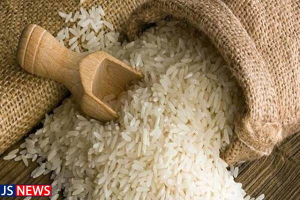 کاناداییها و سوئدیها به دنبال برنج ایرانی