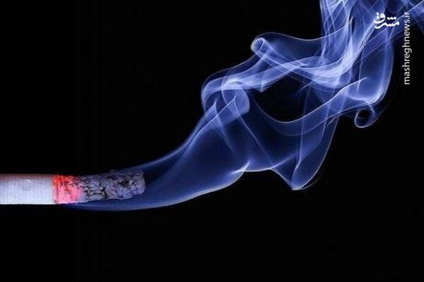 بیماری های عروق را جدی بگیرید/ خطر مرگ حتی با یک نخ سیگار