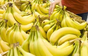 واردات موز به شرط صادرات سیب