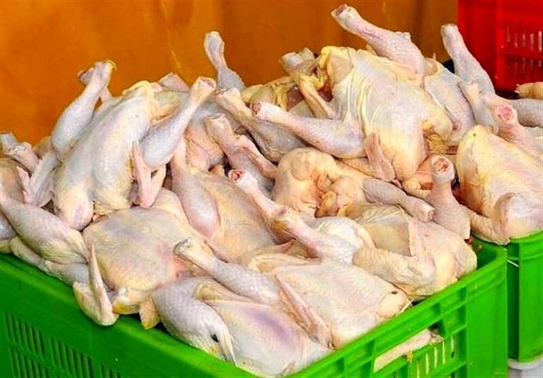 التهاب بازار مرغ به پایان میرسد/نرخ هر کیلو مرغ ۲۵ هزار تومان