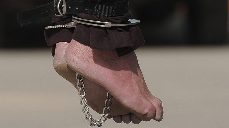 وکیل دادگستری؛ زهرا اسماعیلی را پس از سکته قلبی دار زدند – خبرگزاری هرانا