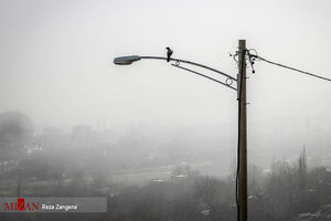 محسن هاشمی