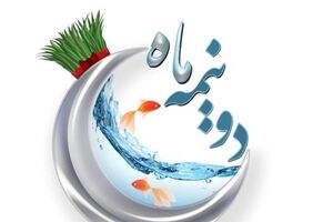 تلویزیون