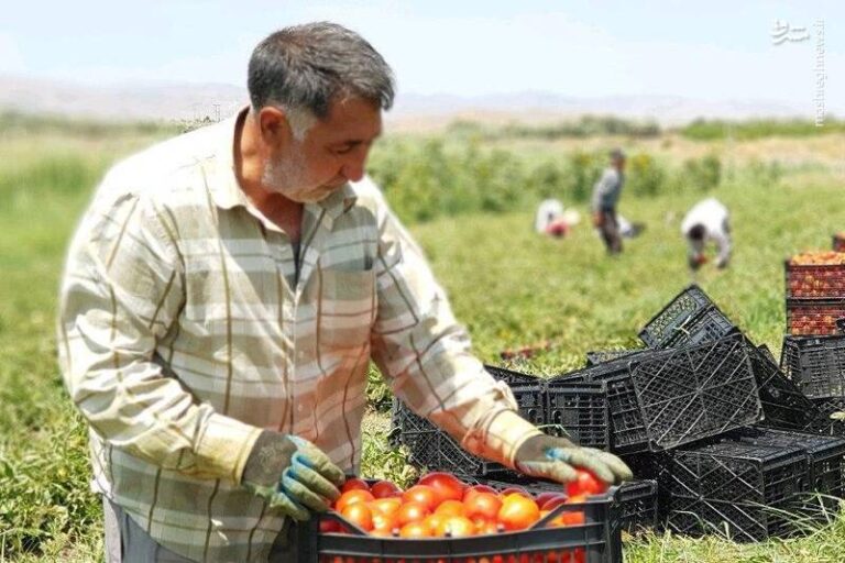 توانمندسازی ۱۳۰ بنگاه صنعتی با مشارکت بنیاد برکت