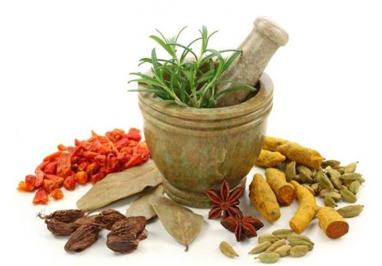 بایدهای تغذیهای دیابتیها از دیدگاه طب سنتی