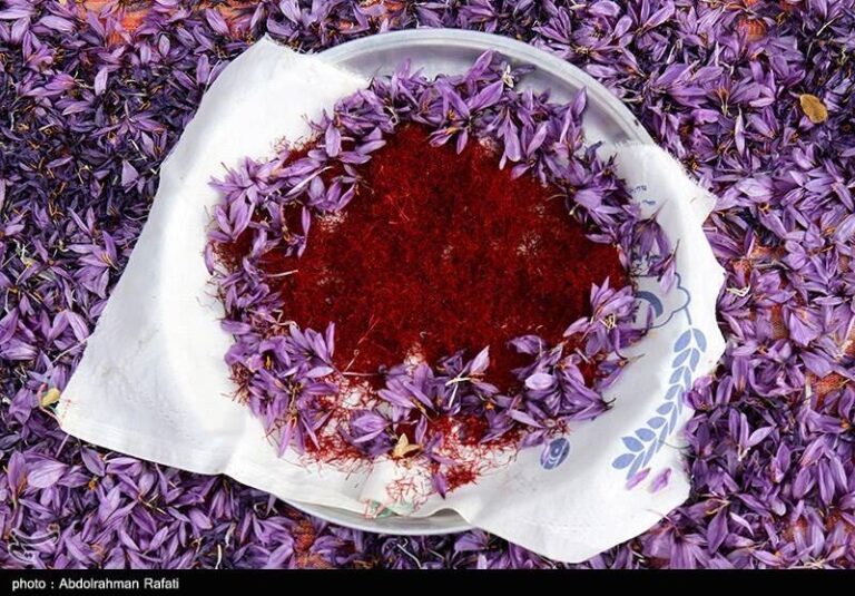 راه اندازی قرارداد آتی زعفران در بورس کالا