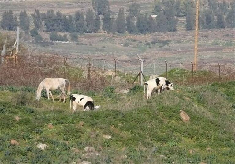 شکستن انحصار آمریکا در کیت جنینهای آزمایشگاهی توسط ایران