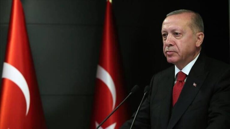 اردوغان: مشکلی در همکاریهای خود با مصر نداریم