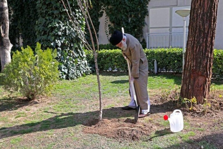 کاشت دو نهال توسط رهبر انقلاب