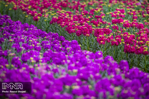 آرشیو