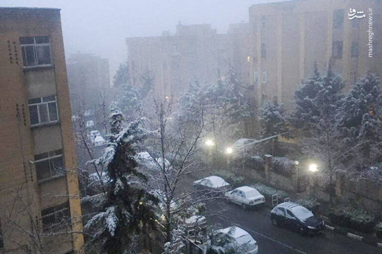 عکس/ آخرین برف قرن در تهران