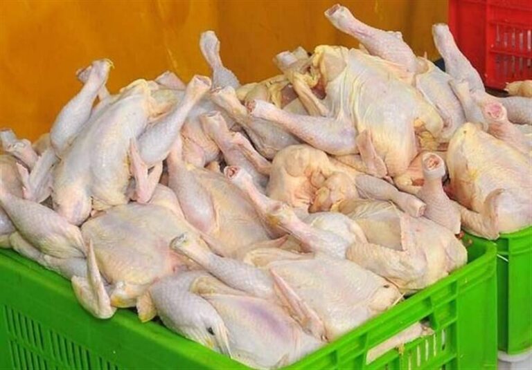 فیلم/ وعده حل مشکل مرغ در تهران تا یکی دو روز آینده