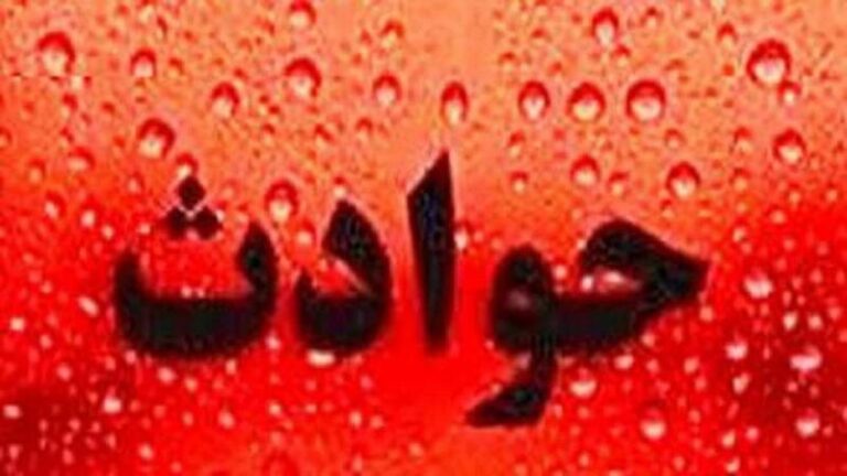 سرگذشت زندگی گوشی قاپ ۱۱ ساله
