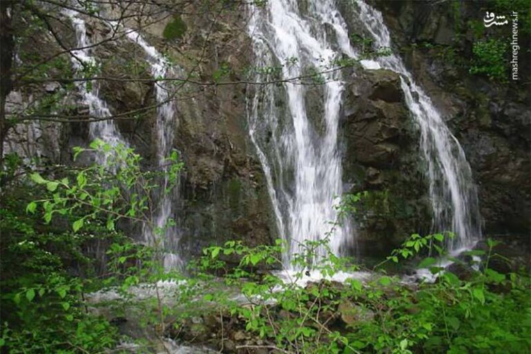 عکس/ آبشار شارشار کجاست؟