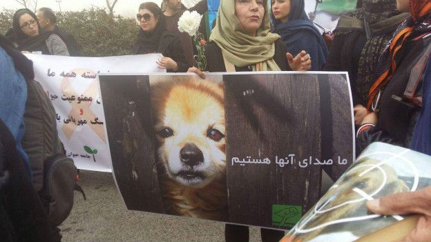 بازداشت یک متهم به حیوان آزاری در نهاوند – خبرگزاری هرانا