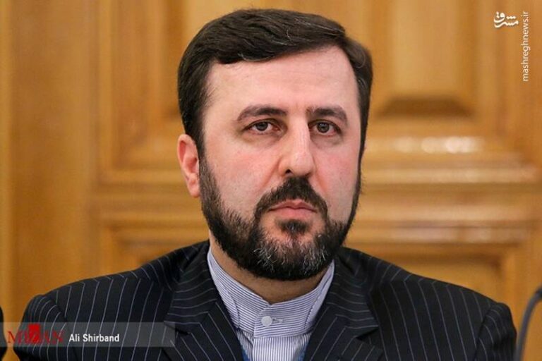 حمایت یامینپور از واکنش خاص غریب آبادی در وین
