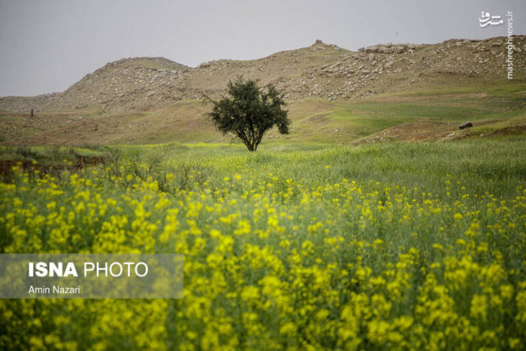 عکس/ طبیعت دیدنی «جاده میانه» دزفول