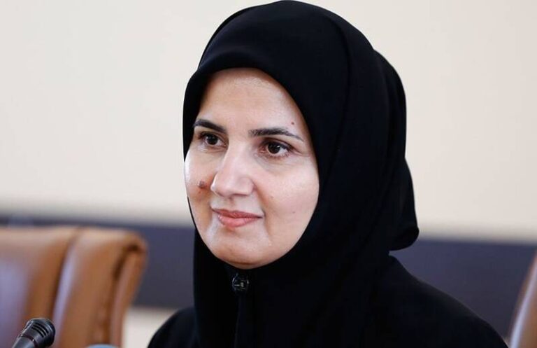جنیدی: حق تحفظ جدیدی را درباره «FATF» پیشنهاد دادیم