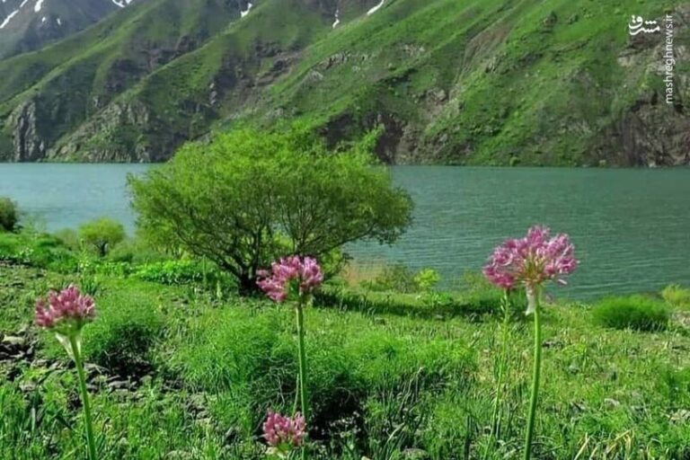 دلم میخواد یه جایی زندگی کنم مثل اینجا+عکس