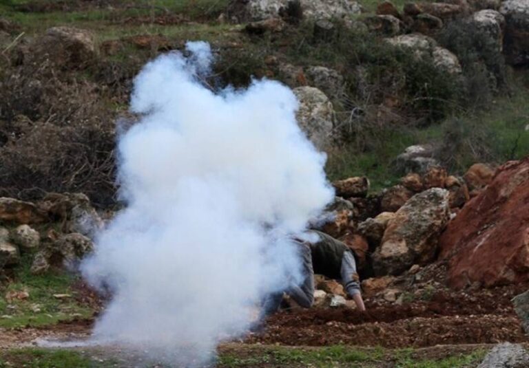 آزاده فلسطینی حافظهاش را بر اثر شکنجه از دست داد+عکس