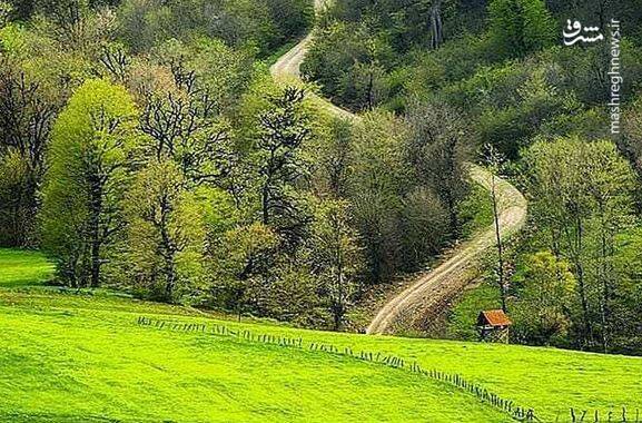 تصاویری از مازندران زیبا