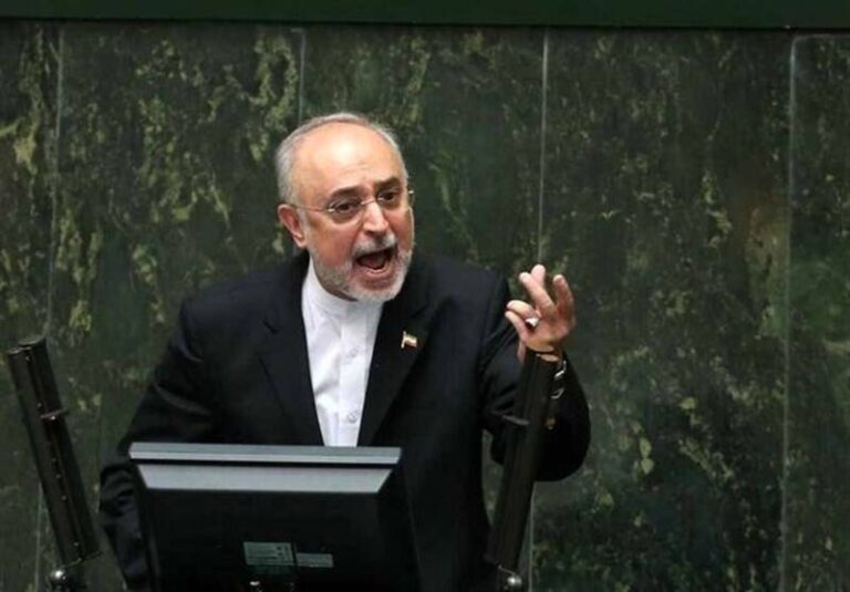 «سیستم عامل» معیوب سازمان انرژی اتمی و خطاهای فاحشِ ویرانگر/ باز هم «گفتاردرمانی» به سبک صالحی…