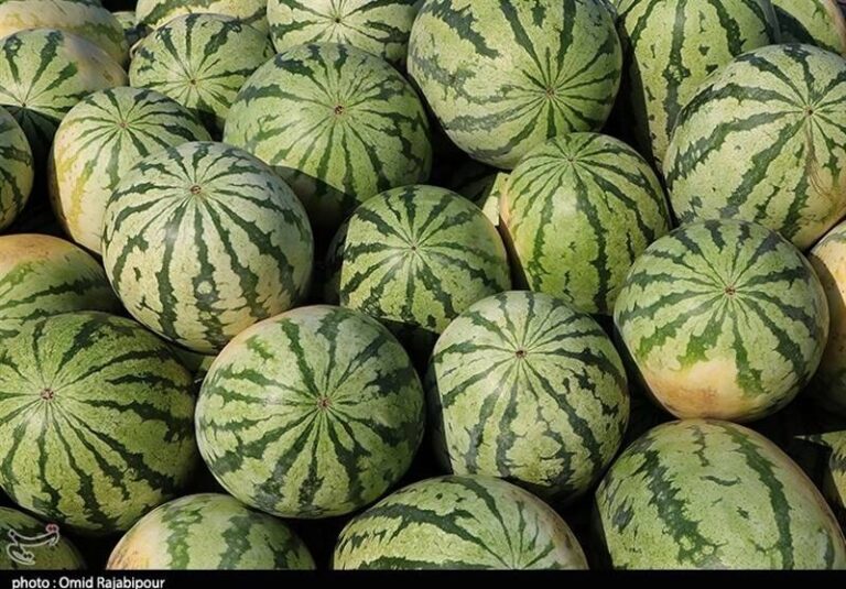 ثبت قیمتهای عجیب برای هندوانه