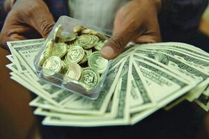 پورابراهیمی: نرخ کنونی ارز فراتر از ارزش واقعی آن است