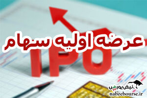 جزئیات مهم از عرضه اولیه جدید در بورس