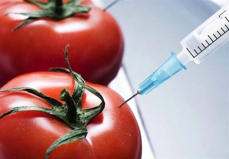 مسئولان تصمیمگیر درباره واردات محصولات تراریخته، ذینفع هستند