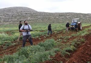 فیلم/ سنگپرانی کفتارها