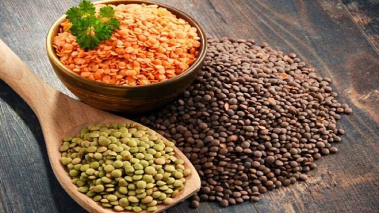 عدس، معجزهای برای درمان بیماریها