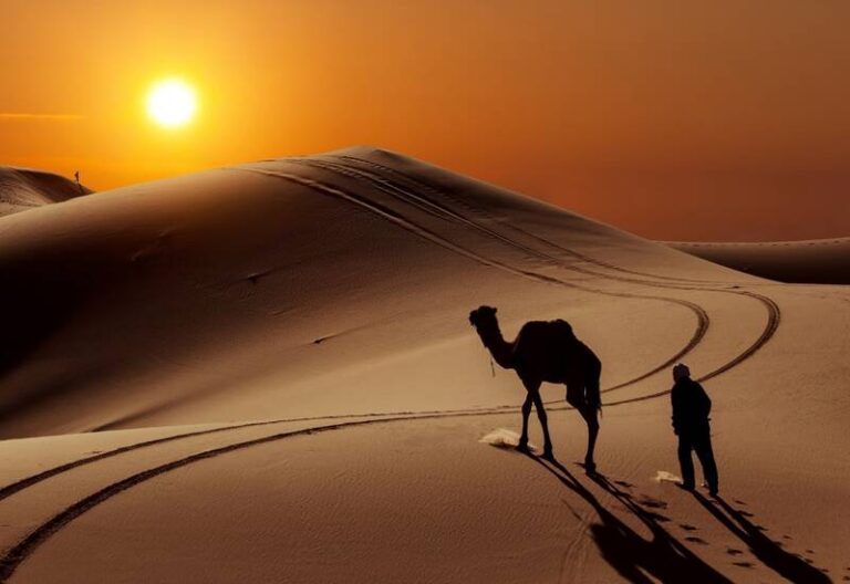 تلاقی آب و کویر در ایران+ فیلم