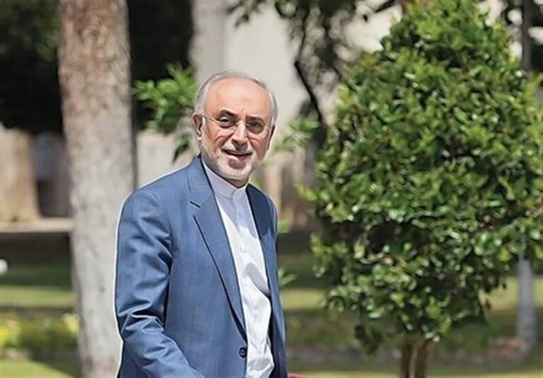 علی اکبر صالحی از ثبتنام در انتخابات منصرف شد