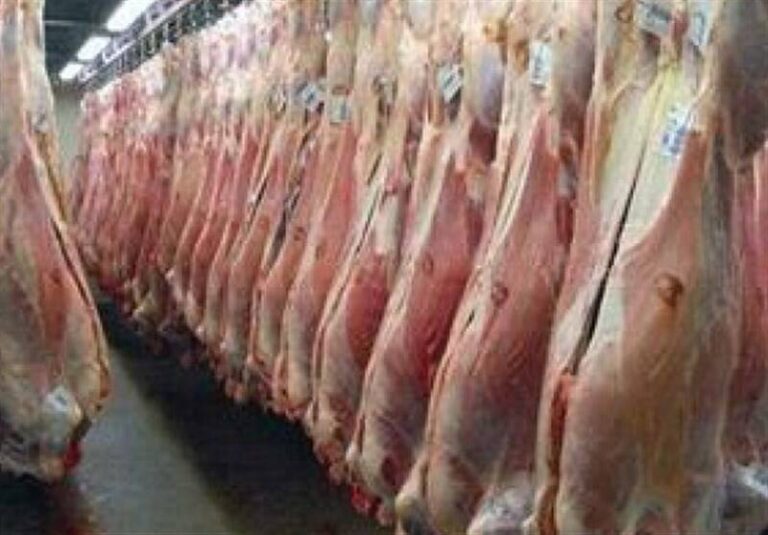 واردات گوشت قرمز با ارز دولتی صفر شد