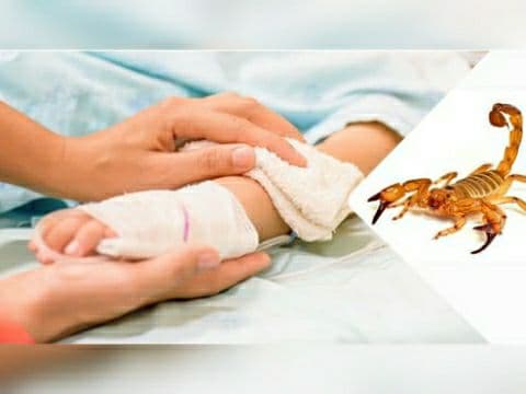 در سایه نبود مراکز درمانی و مسیر صعبالعبور؛ مرگ یک کودک ۶ ساله در پی عقرب گزیدگی در جاسک – خبرگزاری…