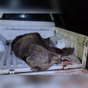 هفته ای که گذشت؛ نگاهی به گزارشات محیط زیستی در ایران – خبرگزاری هرانا