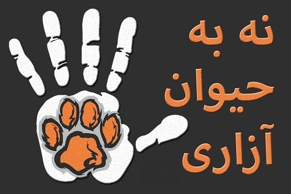 حیوان آزاری؛ بازداشت متهم به آتش زدن یک قلاده گرگ در ملایر – خبرگزاری هرانا
